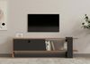 купить Тумба напольная для TV Hanah Home Тумба под ТВ Hanah Home Ova Oak Anthracite в Кишинёве 