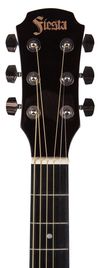 купить Гитара Fiesta Aria FST-300 BS в Кишинёве 