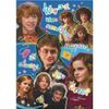 купить Головоломка Dodo 200584 Puzzle Întotdeauna acești trei, seria Harry Potter, 400el в Кишинёве 