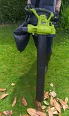 купить Воздуходувка RYOBI RBV3000CSV 5133002188 в Кишинёве 