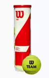купить Теннисный инвентарь Wilson 2167 Minge tenis mare TEAM W PRACTICE TBALL (set 4 mingi) WRT111900 в Кишинёве 