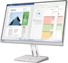 cumpără Monitor Lenovo L25e-40 în Chișinău 