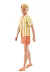 купить Кукла Barbie JJN66 Ken Fashionistas (seria 1) в Кишинёве 