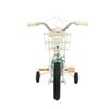 cumpără Bicicletă miscellaneous TN-B06 14" verde, 2225D în Chișinău 