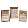 купить Настольная игра Asmodee GG033 GG Marea aventura, GG033 в Кишинёве 