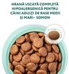 cumpără Hrană pentru animale de companie Optimeal 24231032 Sac caini activ hipo somon 20 kg în Chișinău 