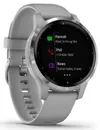 купить Фитнес-трекер Garmin vivoactive 4S Powder Gray/Silver, S.EU в Кишинёве 