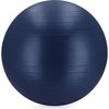 купить Мяч Spokey Fitball 75cm Dark Blue (945931) в Кишинёве 