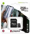 купить Флеш карта памяти SD Kingston SDCS2/256GB, microSD Class10 UHS-I + SD adapter, Canvas Select Plus в Кишинёве 