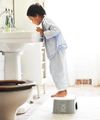 купить Подставка-ступенька BabyBjorn 061225A Treapta inaltator pentru baie Step Stool Grey/White в Кишинёве 