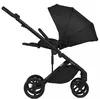 купить Детская коляска Anex ELI EL-05 MIDNIGHT (F-EL-02) в Кишинёве 