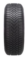 купить Шина Dunlop 205/60 R16 92H SP WI SPT 4D MS MO в Кишинёве 
