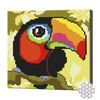 купить Картина по номерам Art Gallery BJ964 Mozaic cu diamante 20x20cm Tucan в Кишинёве 