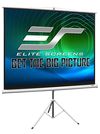 купить Экран для проекторов Elite Screens T120UWH в Кишинёве 