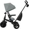купить Велосипед-коляска KinderKraft KRAVEO02GRY0000 Aveo 2 Plus Grey в Кишинёве 