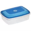 cumpără Container alimentare Plast Team 1079 TOP BOX - 1,3 л în Chișinău 