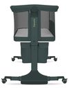 купить Колыбель Lionelo Jodie Green Graphite 3in1 в Кишинёве 