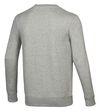 купить Толстовка Mizuno Terry Crew 32EC8B50C 07 в Кишинёве 