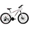 купить Велосипед Frike TY-MTB 29 White/Red в Кишинёве 