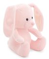 купить Мягкая игрушка Orange Toys Surprise the Bunny 15cm OT6002/15 в Кишинёве 