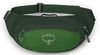 купить Поясная сумка Osprey Daylite Waist green belt/green canopy hip (843820184372) в Кишинёве 
