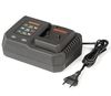 купить Зарядные устройства и аккумуляторы Daewoo DACH 4521Li 100W 21V 4.5A в Кишинёве 