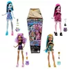 cumpără Păpușă Mattel HYV64 Monster High în Chișinău 
