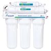 купить Фильтр проточный для воды Ecosoft Sistem cu osmoza inversa 5-50 в Кишинёве 