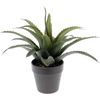 cumpără Decor pentru grădină ProGarden 49435 Plantă decorativă de Aloe 25cm, în ghiveci, gri în Chișinău 