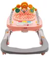 купить Ходунок New Baby 41914 Forest Kingdom розовый в Кишинёве 