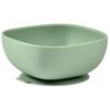 купить Посуда для кормления Beaba B913547 Bol silicon cu ventuza Sage Green в Кишинёве 