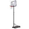 купить Баскетбольная корзина Nils SL-00014218 Stand baschet h=3,1–3,75 cm/d=45 cm/75,9L ZDK021A 10-20-003 в Кишинёве 