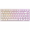 cumpără Tastatură gaming Dark Project ALU Terra Nostra White în Chișinău 