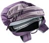 купить Рюкзак городской Deuter Giga lavender-purple в Кишинёве 
