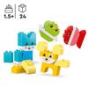 cumpără Set de construcție Lego 10477 3in1 Creative Cute Pets în Chișinău 