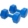 cumpără Ganteră EB Fit Dumbbell Set 2x4kg în Chișinău 