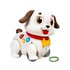 купить Игрушка каталка Hola Toys HE9977 Cățeluș cu sunete și lumini в Кишинёве 