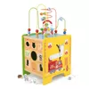 купить Viga Лабиринт 5 в 1 Toy Box в Кишинёве 