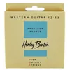 купить Струна для музыкального инструмента Harley Benton HQS WE 12-53 PB, corzi chitara acustica set в Кишинёве 