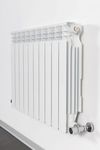 купить Радиатор Radiatori 2000 Design Helyos Evo 500mm (1elem.) white в Кишинёве 