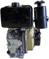 cumpără Motocultor Technoworker Motor motorina 9 C.P cu starter în Chișinău 