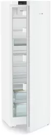 купить Холодильник однодверный Liebherr Rd 5220 в Кишинёве 