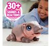купить Мягкая игрушка Hasbro 28179 Furreal Sally the Silly Hippo в Кишинёве 