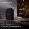cumpără Boxă portativă Bluetooth Yandex YNDX-00052R Red în Chișinău 