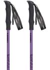 cumpără Bețe pentru trekking Masters HIKER Compact Lite 01S1125 în Chișinău 