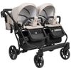 cumpără Сărucior pentru copii Angelina Carucior 2in1 pt gemeni Tvigo-Duo ECO (DTE-44) în Chișinău 