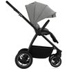 купить Детская коляска Lionelo Carucior 2in1 Meril Grey Stone в Кишинёве 
