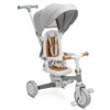 купить Велосипед Toyz 0361 беговел 3-колесный Faro Grey в Кишинёве 