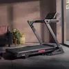 купить Беговая дорожка miscellaneous 55556 T-25 Treadmill AVUS-10750 в Кишинёве 