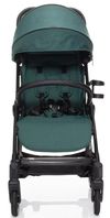 купить Детская коляска ZOPA 46477 Quiq 2 Antique Green/Black в Кишинёве 